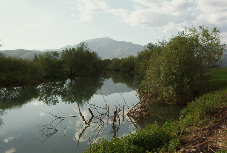 © Giovanni Mastrobuoni